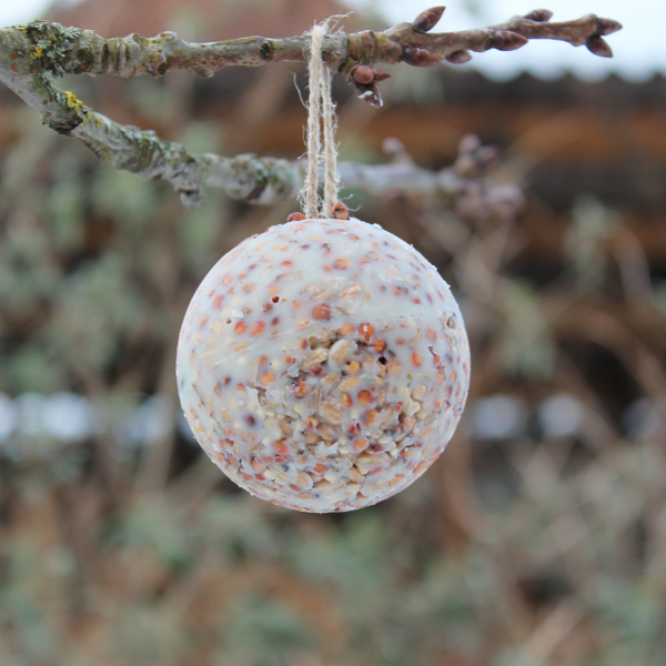 Boules de graisse pour oiseaux : les dangers - Hello-birdy