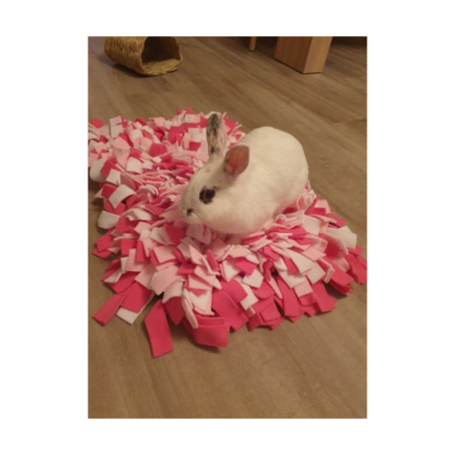 Lapinou avec son tapis de fouille