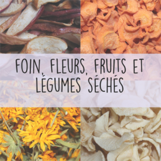 Fleurs, fruits et légumes séchés