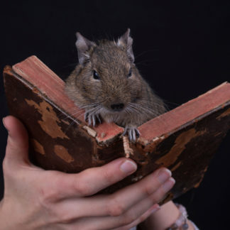 Livres